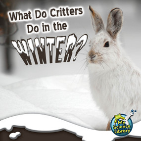 What Do Critters Do In The Winter? - 9781617419485 by Julie Lundgren, 9781617419485