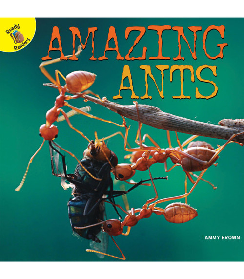 Amazing Ants - 9781641562126 by Tammy  Brown, 9781641562126