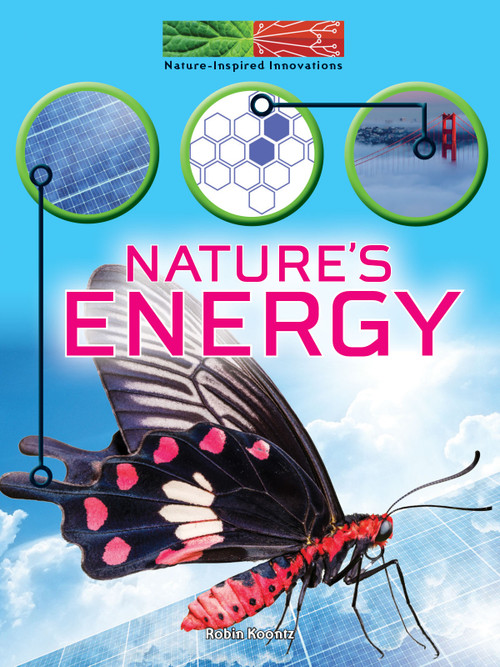 Nature's Energy - 9781641565820 by Robin  Koontz, 9781641565820