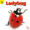 Ladybug by J.  Jean Robertson, 9781731604552