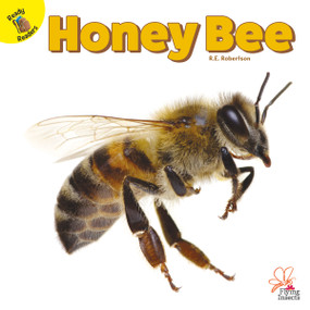 Honey Bee - 9781731604569 by R.E. Robertson, 9781731604569