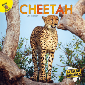 Cheetah - 9781731605634 by Lisa  Jackson, 9781731605634