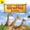 Giraffes (Jirafas) (Bilingual Edition) by Barry Cole, 9781731613356