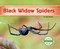 Black Widow Spiders by Claire Archer, 9781731645296