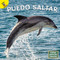 Puedo saltar (Spanish Edition) by Marla Conn, Alma Patricia Ramirez, 9781731648440