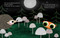 Little Owl's Love by Divya Srinivasan, Divya Srinivasan, 9780593204047