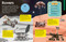 The Fact-Packed Activity Book: Space (With More Than 50 Activities, Puzzles, and More!) by DK, 9780744059915