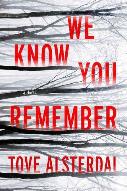 We Know You Remember (A Novel) - 9780063115071 by Tove Alsterdal, 9780063115071