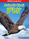 Animals That Fly by Pearl Markovics, 9781642801439