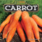 Carrot by Joyce Markovics, 9781684026722