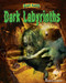 Dark Labyrinths - 9781684026074 by Michael E. Goodman, 9781684026074