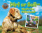 Dirt or Soil (What's the Difference?) by Ellen Lawrence, 9781642807677