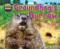 Groundhog's Burrow by Dee Phillips, 9781642800883