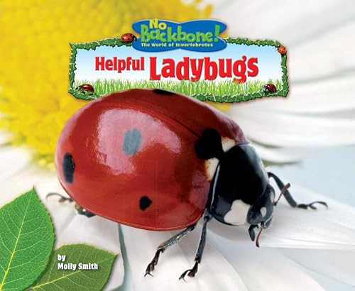 Helpful Ladybugs by Molly Smith, 9781944998479