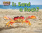 Is Sand a Rock? by Ellen Lawrence, 9781642808025