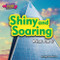 Shiny and Soaring (What Am I?) by Joyce Markovics, 9781684024834