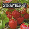 Strawberry by E. Merwin, 9781684026760
