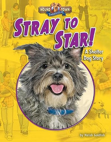 Stray to Star! (A Shelter Dog Story) by Meish Goldish, 9781684020164