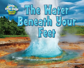 The Water Beneath Your Feet - 9781642807721 by Ellen Lawrence, 9781642807721