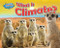 What Is Climate? - 9781642800913 by Ellen Lawrence, 9781642800913