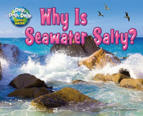 Why is Seawater Salty? by Ellen Lawrence, 9781642807387
