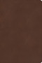 CSB Rainbow Study Bible, Brown LeatherTouch, Indexed by CSB Bibles by Holman, 9781087774220