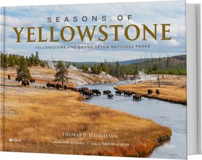 Seasons of Yellowstone (Yellowstone and Grand Teton National Parks) by Thomas D. Mangelsen, Todd Wilkinson, Jane Goodall, 9780847872336