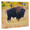 Conserving America's Wildlands (The Vision of Ted Turner) by Rhett Turner, Todd Wilkinson, President Jimmy Carter, 9780847872312