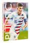 Pulisic: My Journey So Far by Christian Pulisic, Daniel Melamud, Arlo  White, 9780847872077