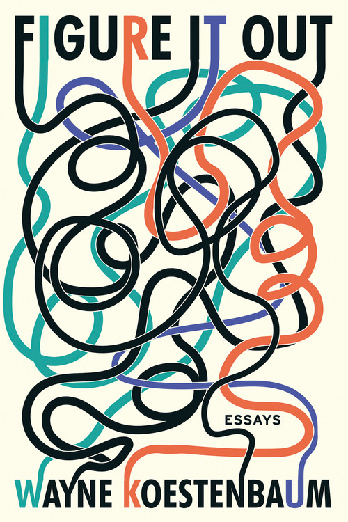 Figure It Out (Essays) by Wayne Koestenbaum, 9781593765958