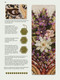 Crewel Animal Portraits (6 stunning projects in Jacobean embroidery) by Hazel Blomkamp, 9781800921306