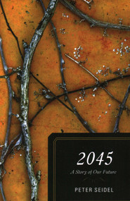 2045 (A Story of Our Future) by Peter Seidel, 9781591027058