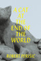 A Cat At the End of the World by Vesna Maric, Robert Perišic, 9789533513997