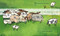 Not All Sheep Are Boring! by Bobby Moynihan, Julie Rowan-Zoch, 9780593407035