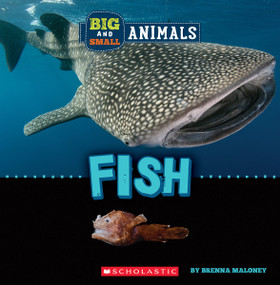 Fish (Wild World: Big and Small Animals) - 9781338853544 by Brenna Maloney, 9781338853544