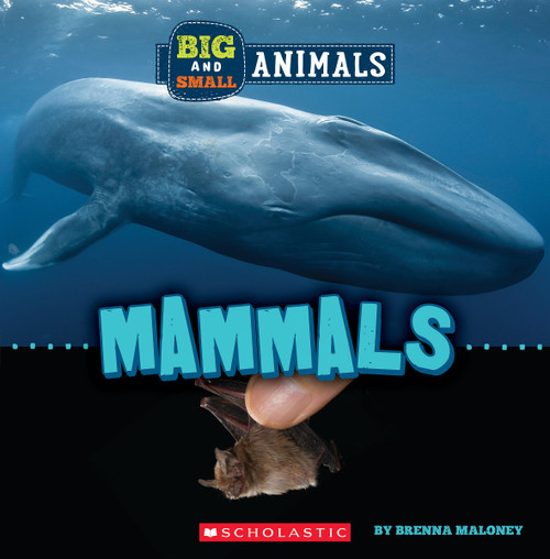 Mammals (Wild World: Big and Small Animals) by Brenna Maloney, 9781338853568