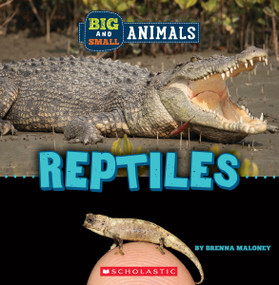Reptiles (Wild World: Big and Small Animals) by Brenna Maloney, 9781338853599