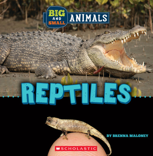 Reptiles (Wild World: Big and Small Animals) by Brenna Maloney, 9781338853599