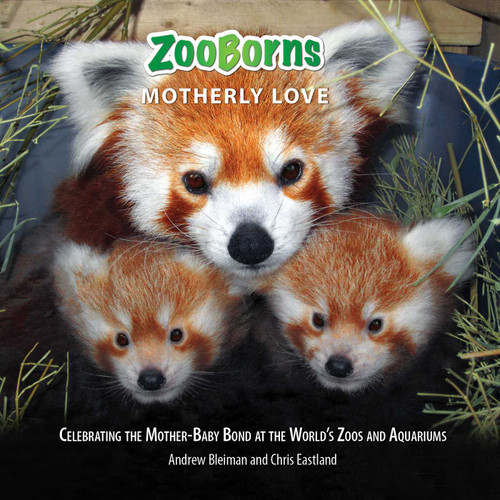 ZooBorns Motherly Love (Celebrating the Mother-Baby Bond at the World's Zoos and Aquariums) by Andrew Bleiman, Chris Eastland, 9781668013427