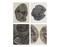 Woodcut Notecards by Bryan Nash Gill, 9781616891473