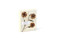Herbaria: The Pressed Plant Collection of Beatrix Farrand (12 Notecards and Envelopes) by Princeton Architectural Press, 9781616899066