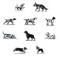 Dog Box (100 Postcards by 10 Artists) by Princeton Architectural Press, 9781648960772