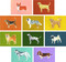 Dog Box (100 Postcards by 10 Artists) by Princeton Architectural Press, 9781648960772