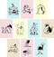 Dog Box (100 Postcards by 10 Artists) by Princeton Architectural Press, 9781648960772