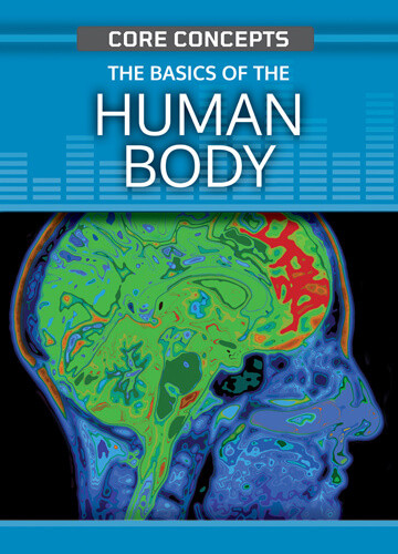 The Basics of the Human Body by Anne O'Daly, 9781499473513