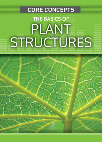 The Basics of Plant Structures by Anne O'Daly, 9781499473483
