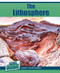 The Lithosphere by Karen McMichael, 9781502664389