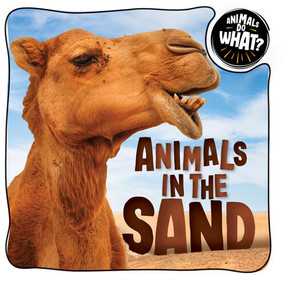 Animals in the Sand - 9781978531345 by Brenda McHale, 9781978531345