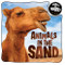 Animals in the Sand - 9781978531345 by Brenda McHale, 9781978531345