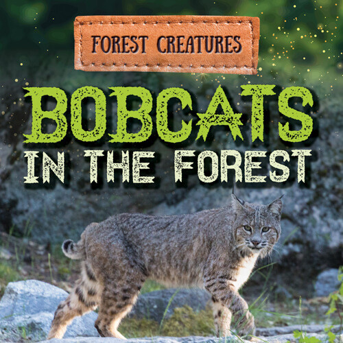 Bobcats in the Forest - 9781538279076 by Donna Reynolds, 9781538279076